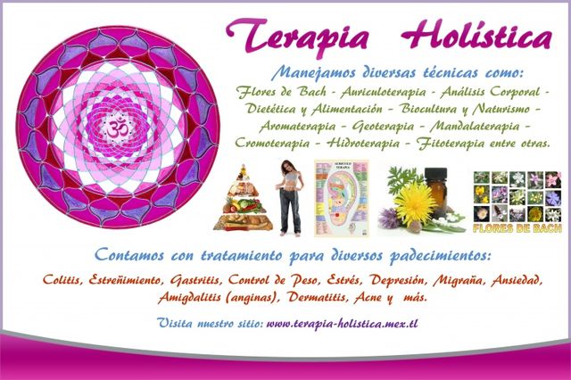 Nuestros servicios